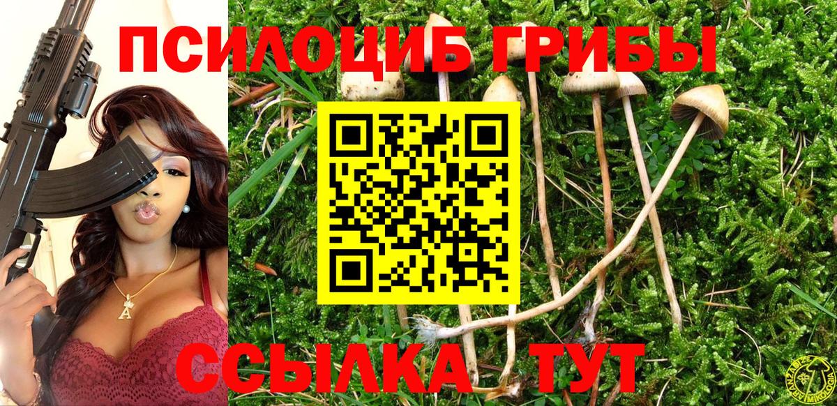 Касимов  Псилоцибиновые грибы Cubensis  Вход с VPN 