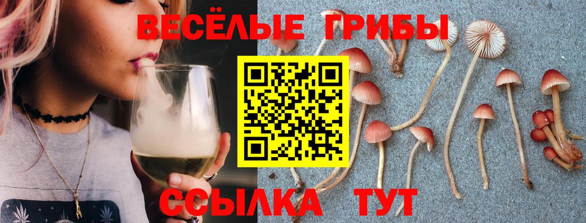 Галлюциногенные грибы Cubensis Касимов