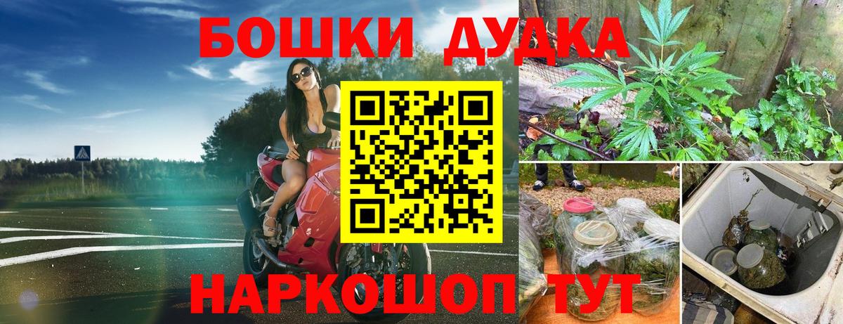 Каннабис планчик  Вход с VPN  МАРИХУАНА тримм  Касимов  Канабис OG Kush 